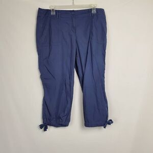 Ann Taylor Size 10 Blue Original Crop Pants